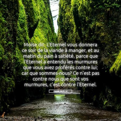 Picture 05 - Exode 16:8 LSG - Moïse dit: L'Eternel vous donnera ce soir de la - Bible Verse Picture