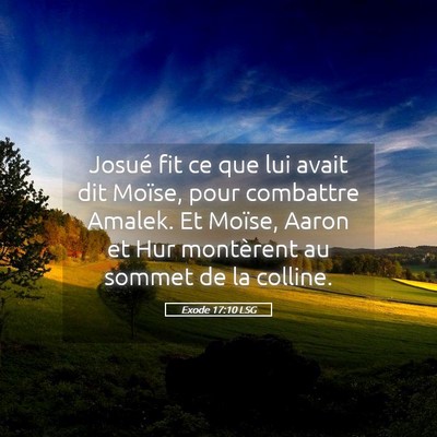Picture 05 - Exode 17:10 LSG - Josué fit ce que lui avait dit Moïse, pour - Bible Verse Picture