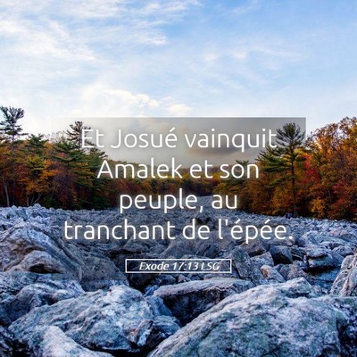 Picture 05 - Exode 17:13 LSG - Et Josué vainquit Amalek et son peuple, au - Bible Verse Picture