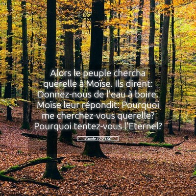 Picture 05 - Exode 17:2 LSG - Alors le peuple chercha querelle à Moïse. Ils - Bible Verse Picture