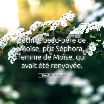 Picture 05 - Exode 18:2 LSG - Jéthro, beau-père de Moïse, prit Séphora, - Bible Verse Picture