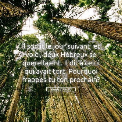 Picture 05 - Exode 2:13 LSG - Il sortit le jour suivant; et voici, deux - Bible Verse Picture
