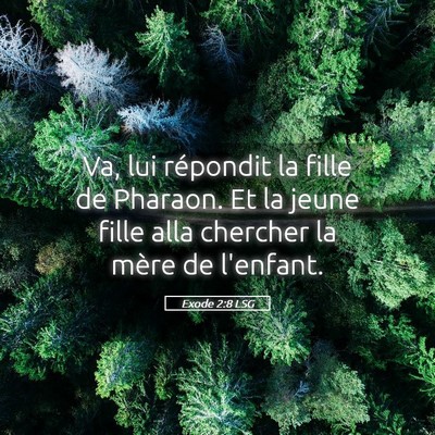 Picture 05 - Exode 2:8 LSG - Va, lui répondit la fille de Pharaon. Et la - Bible Verse Picture