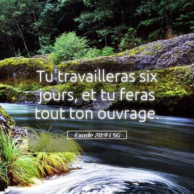 Picture 05 - Exode 20:9 LSG - Tu travailleras six jours, et tu feras tout ton - Bible Verse Picture