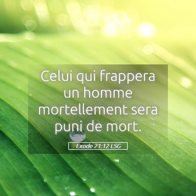 Picture 05 - Exode 21:12 LSG - Celui qui frappera un homme mortellement sera - Bible Verse Picture
