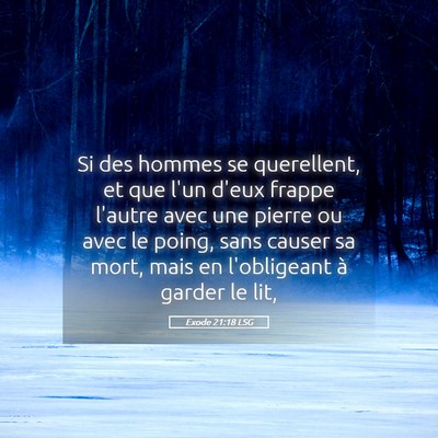 Picture 05 - Exode 21:18 LSG - Si des hommes se querellent, et que l'un d'eux - Bible Verse Picture