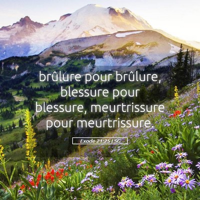 Picture 05 - Exode 21:25 LSG - brûlure pour brûlure, blessure pour blessure, - Bible Verse Picture