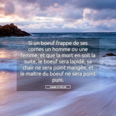 Picture 05 - Exode 21:28 LSG - Si un boeuf frappe de ses cornes un homme ou une - Bible Verse Picture