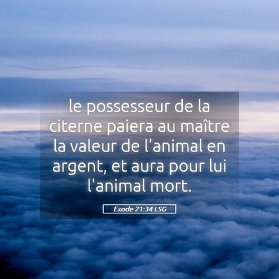 Picture 05 - Exode 21:34 LSG - le possesseur de la citerne paiera au maître la - Bible Verse Picture