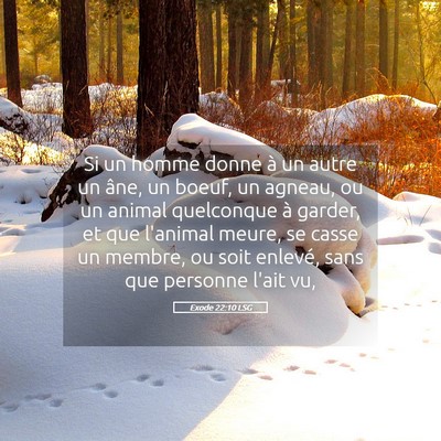 Picture 05 - Exode 22:10 LSG - Si un homme donne à un autre un âne, un boeuf, - Bible Verse Picture