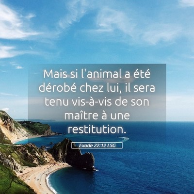 Picture 05 - Exode 22:12 LSG - Mais si l'animal a été dérobé chez lui, il - Bible Verse Picture