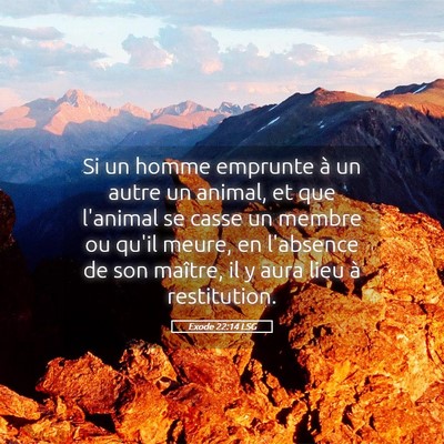 Picture 05 - Exode 22:14 LSG - Si un homme emprunte à un autre un animal, et - Bible Verse Picture