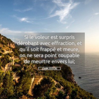 Picture 05 - Exode 22:2 LSG - Si le voleur est surpris dérobant avec - Bible Verse Picture