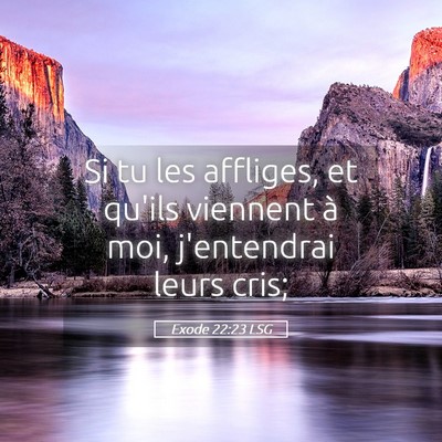 Picture 05 - Exode 22:23 LSG - Si tu les affliges, et qu'ils viennent à moi, - Bible Verse Picture