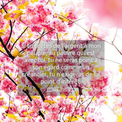 Picture 05 - Exode 22:25 LSG - Si tu prêtes de l'argent à mon peuple, au - Bible Verse Picture
