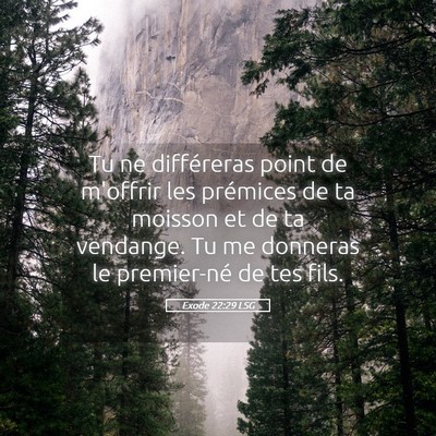 Picture 05 - Exode 22:29 LSG - Tu ne différeras point de m'offrir les prémices - Bible Verse Picture