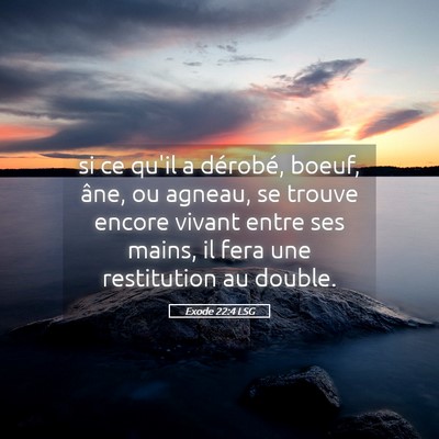 Picture 05 - Exode 22:4 LSG - si ce qu'il a dérobé, boeuf, âne, ou agneau, - Bible Verse Picture