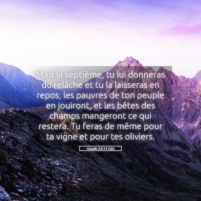 Picture 05 - Exode 23:11 LSG - Mais la septième, tu lui donneras du relâche et - Bible Verse Picture
