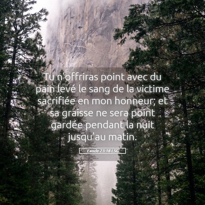 Picture 05 - Exode 23:18 LSG - Tu n'offriras point avec du pain levé le sang de - Bible Verse Picture