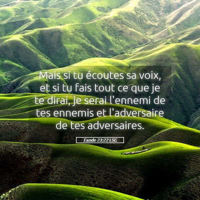 Picture 05 - Exode 23:22 LSG - Mais si tu écoutes sa voix, et si tu fais tout - Bible Verse Picture