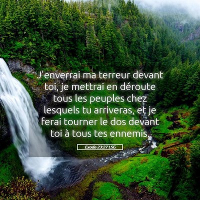 Picture 05 - Exode 23:27 LSG - J'enverrai ma terreur devant toi, je mettrai en - Bible Verse Picture