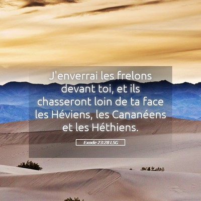 Picture 05 - Exode 23:28 LSG - J'enverrai les frelons devant toi, et ils - Bible Verse Picture