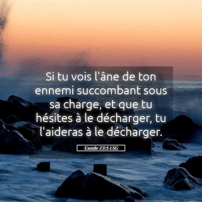 Picture 05 - Exode 23:5 LSG - Si tu vois l'âne de ton ennemi succombant sous - Bible Verse Picture
