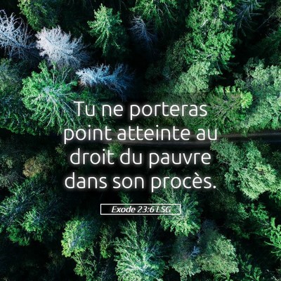 Picture 05 - Exode 23:6 LSG - Tu ne porteras point atteinte au droit du pauvre - Bible Verse Picture