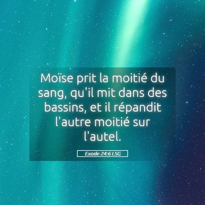 Picture 05 - Exode 24:6 LSG - Moïse prit la moitié du sang, qu'il mit dans - Bible Verse Picture