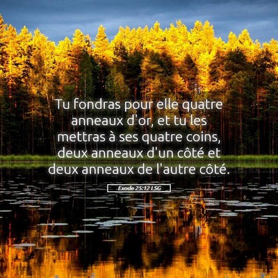Picture 05 - Exode 25:12 LSG - Tu fondras pour elle quatre anneaux d'or, et tu - Bible Verse Picture