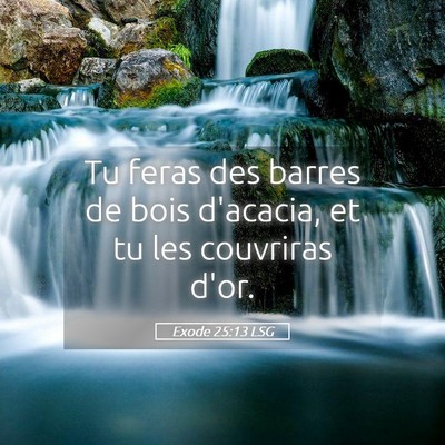Picture 05 - Exode 25:13 LSG - Tu feras des barres de bois d'acacia, et tu les - Bible Verse Picture