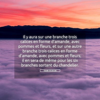 Picture 05 - Exode 25:33 LSG - Il y aura sur une branche trois calices en forme - Bible Verse Picture