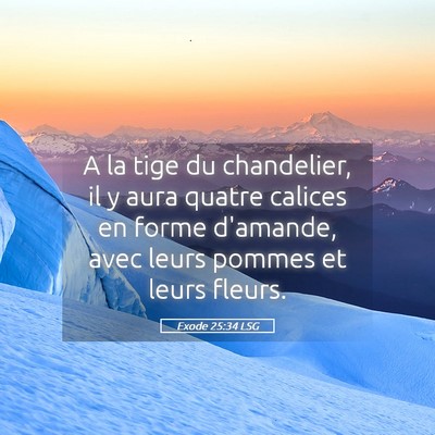 Picture 05 - Exode 25:34 LSG - A la tige du chandelier, il y aura quatre calices - Bible Verse Picture