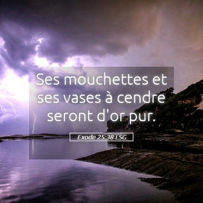 Picture 05 - Exode 25:38 LSG - Ses mouchettes et ses vases à cendre seront d'or - Bible Verse Picture