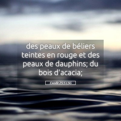 Picture 05 - Exode 25:5 LSG - des peaux de béliers teintes en rouge et des - Bible Verse Picture