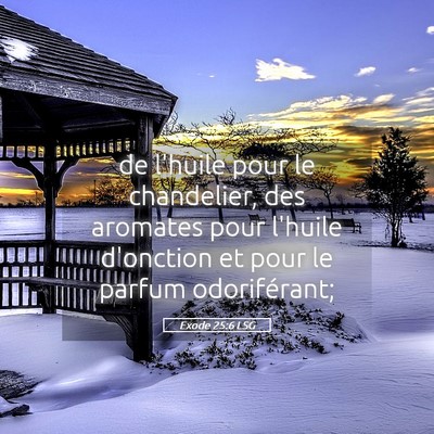 Picture 05 - Exode 25:6 LSG - de l'huile pour le chandelier, des aromates pour - Bible Verse Picture