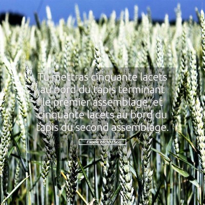 Picture 05 - Exode 26:10 LSG - Tu mettras cinquante lacets au bord du tapis - Bible Verse Picture