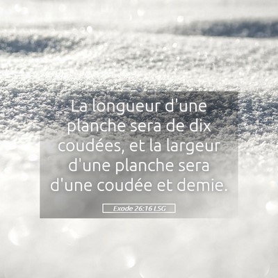 Picture 05 - Exode 26:16 LSG - La longueur d'une planche sera de dix coudées, - Bible Verse Picture
