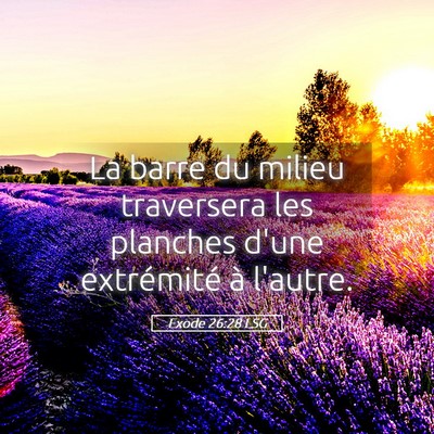 Picture 05 - Exode 26:28 LSG - La barre du milieu traversera les planches d'une - Bible Verse Picture