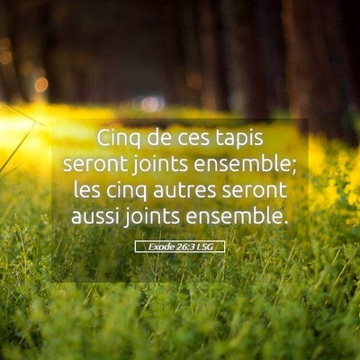 Picture 05 - Exode 26:3 LSG - Cinq de ces tapis seront joints ensemble; les - Bible Verse Picture