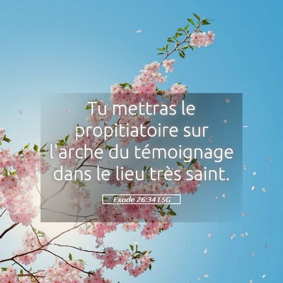 Picture 05 - Exode 26:34 LSG - Tu mettras le propitiatoire sur l'arche du - Bible Verse Picture
