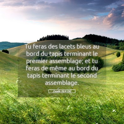 Picture 05 - Exode 26:4 LSG - Tu feras des lacets bleus au bord du tapis - Bible Verse Picture