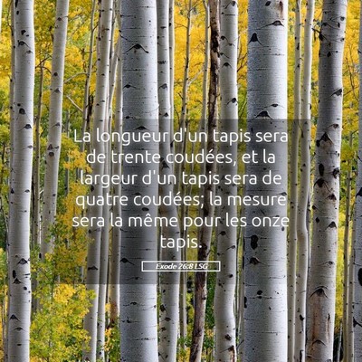 Picture 05 - Exode 26:8 LSG - La longueur d'un tapis sera de trente coudées, - Bible Verse Picture