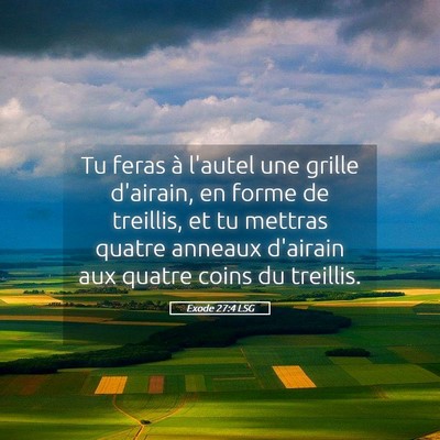 Picture 05 - Exode 27:4 LSG - Tu feras à l'autel une grille d'airain, en forme - Bible Verse Picture