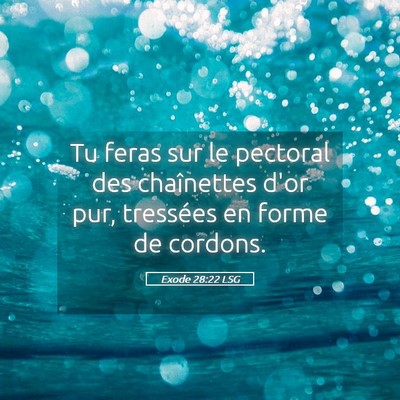 Picture 05 - Exode 28:22 LSG - Tu feras sur le pectoral des chaînettes d'or - Bible Verse Picture