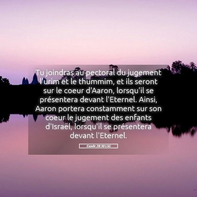 Picture 05 - Exode 28:30 LSG - Tu joindras au pectoral du jugement l'urim et le - Bible Verse Picture