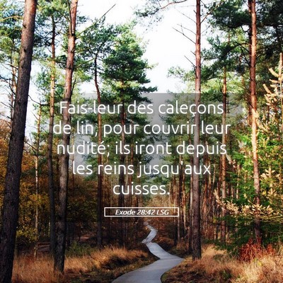 Picture 05 - Exode 28:42 LSG - Fais-leur des caleçons de lin, pour couvrir leur - Bible Verse Picture