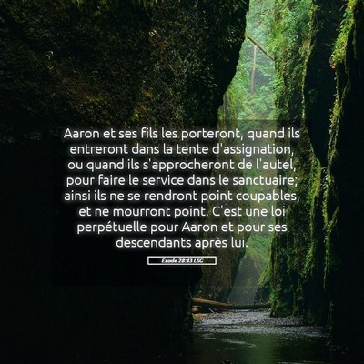 Picture 05 - Exode 28:43 LSG - Aaron et ses fils les porteront, quand ils - Bible Verse Picture