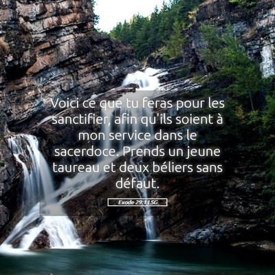 Picture 05 - Exode 29:1 LSG - Voici ce que tu feras pour les sanctifier, afin - Bible Verse Picture