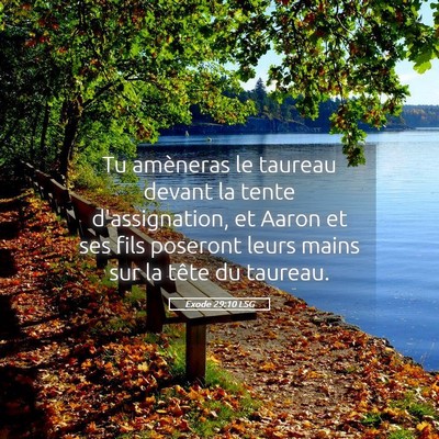 Picture 05 - Exode 29:10 LSG - Tu amèneras le taureau devant la tente - Bible Verse Picture